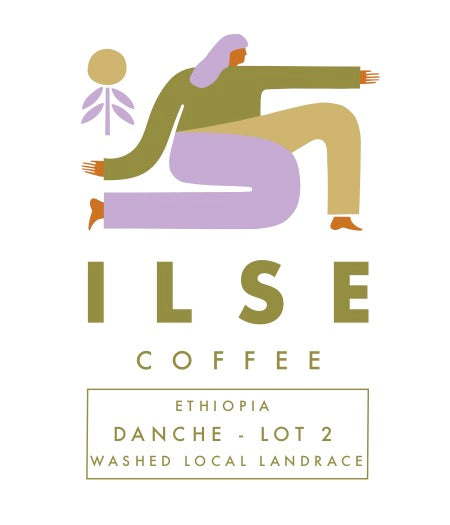 Ethiopia | Danche - Lot 2