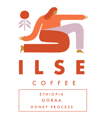 Ethiopia | Goraa - Honey