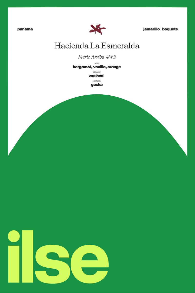 Panama | Hacienda La Esmeralda Mario Arriba 4 WB