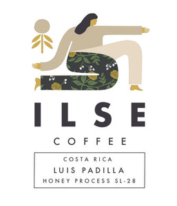 Costa Rica | Luis Padilla - Honey SL-28