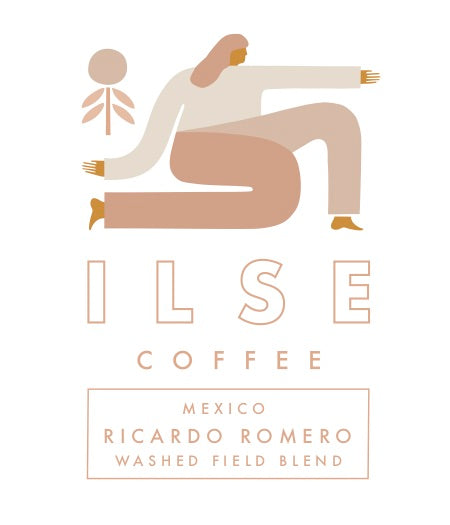 Mexico | Ricardo Romero Roque